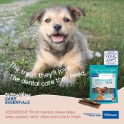Virbac Veggiedent Fr3sh Medium Dogs 15 Chews