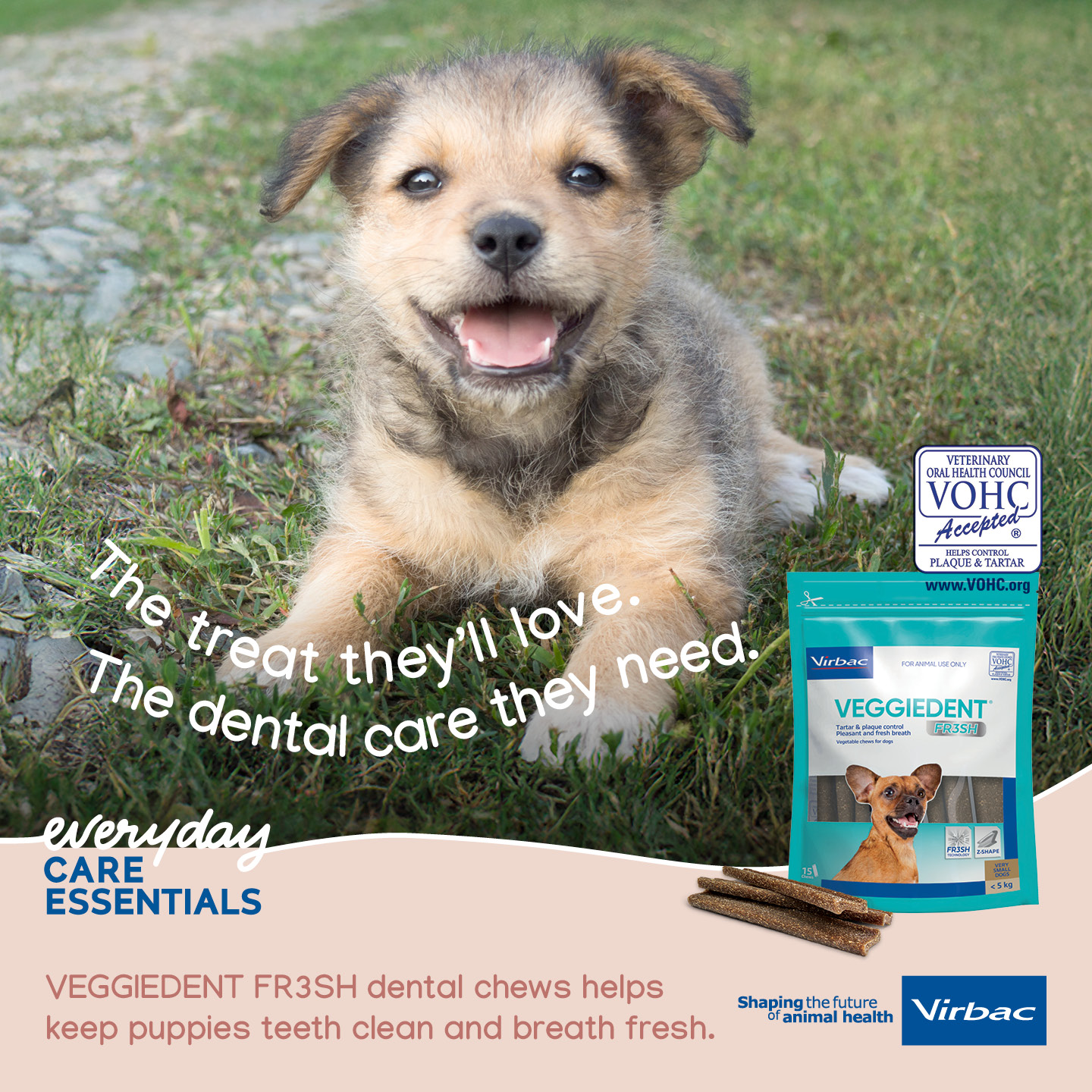 Virbac Veggiedent Fr3sh Medium Dogs 15 Chews