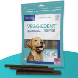 veggiedent-hero