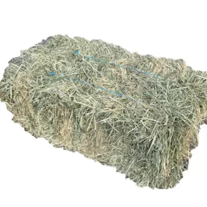 Rhodes Hay