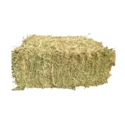 Oaten Hay